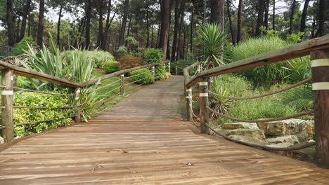 wooden bridge in a garden path