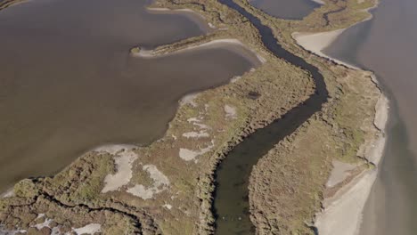 aerial view of a salt marsh ecosystem