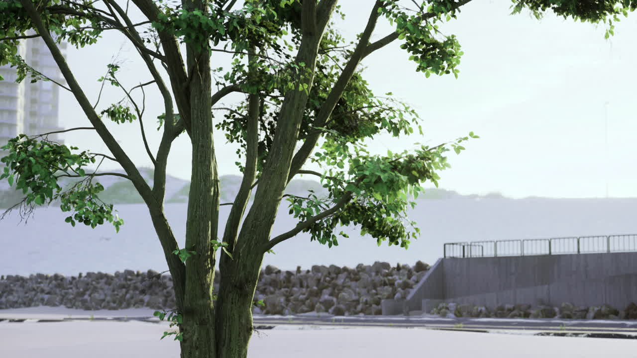 Tree stands in serene area near rocky barrier with buildings in background