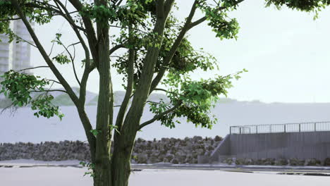 tree stands in serene area near rocky barrier with buildings in background