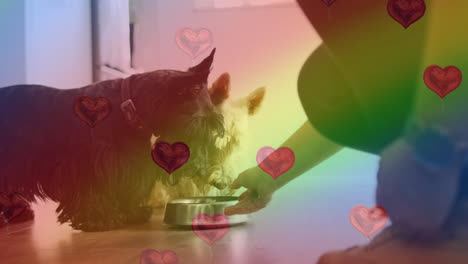 animación de emojis de corazón y bandera arco iris sobre mujer caucásica con perro.