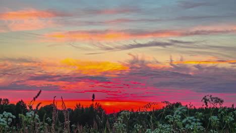 low angle time lapse shot from meadow of colorful sky at sunset - clouds moving in different directions, beautiful nature scene