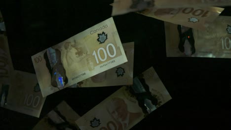 falling flying american canadian dollar banknotes on a black background in 4k loopable. high quality falling dollar banknotes in 4k. video is loopable