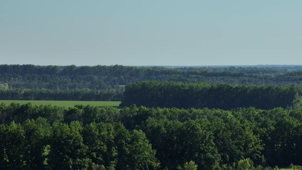 Vista de Paisaje Forestal