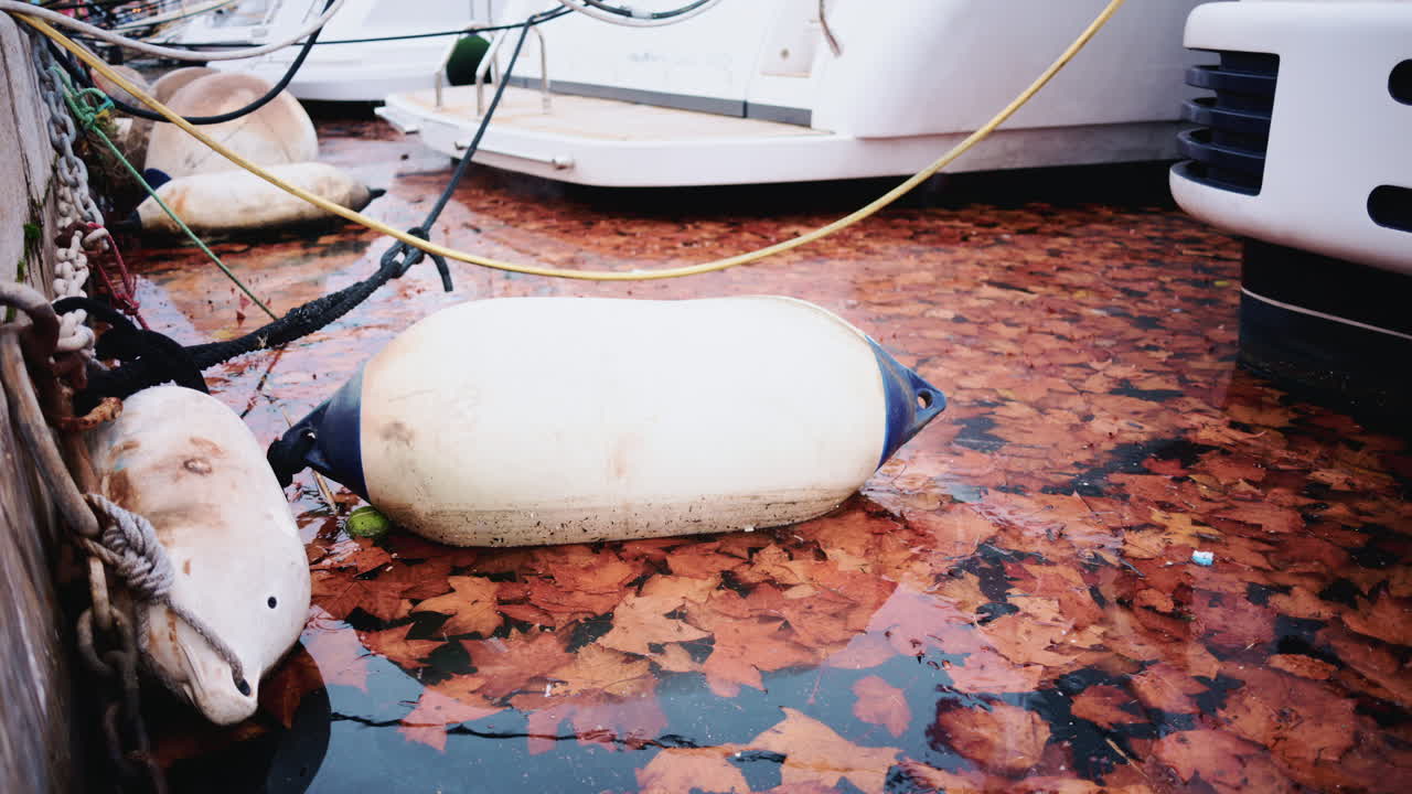 Primer plano de hojas de otoño marrones flotando en agua estancada junto al costado de un barco amarrado