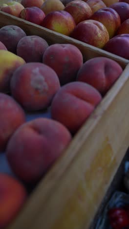 fresh peaches and nectarines at a farmers market