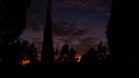 Marvelous-Landscape-View-Of-Wild-Forest-Under-Cloudy-Sky-At-Sunset-Time