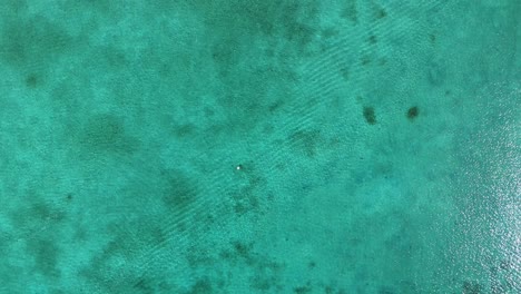 vista aérea del agua turquesa del océano