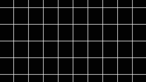 black and white grid pattern