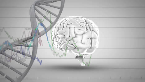 animación de cadena de adn y diagramas sobre el cerebro