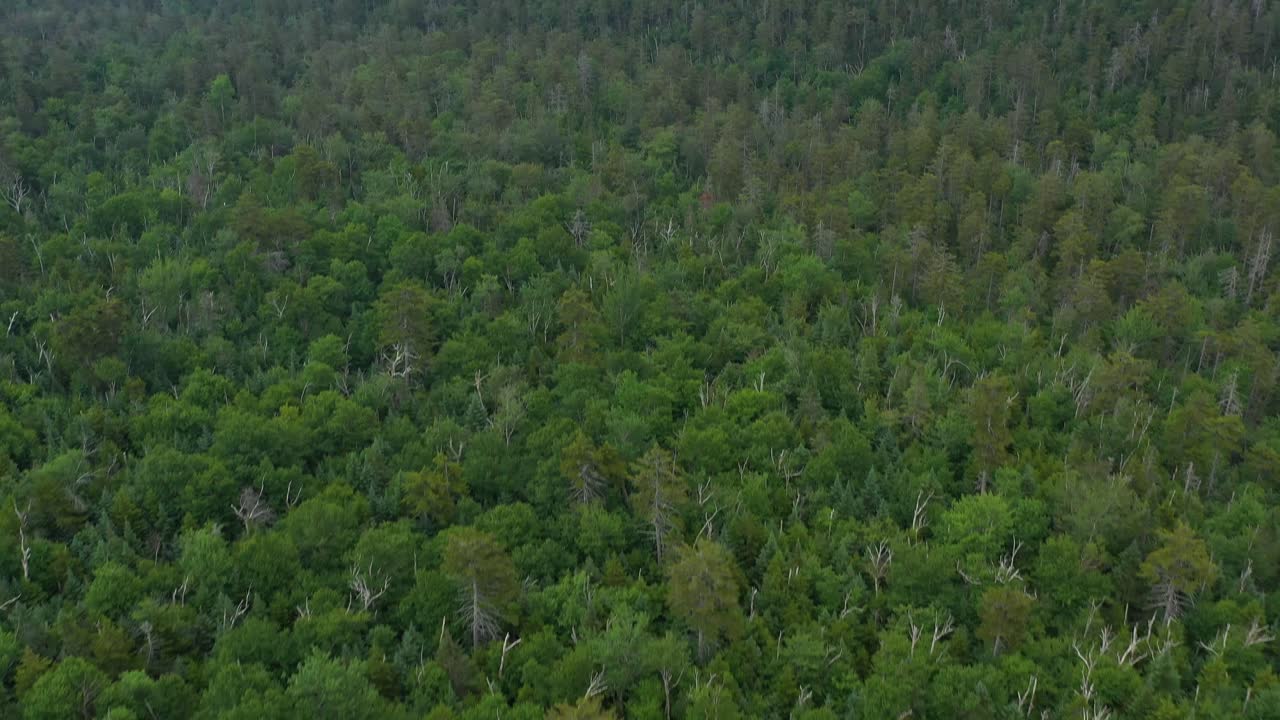 dron panorámico a través del valle montañoso del paisaje de new hampshire