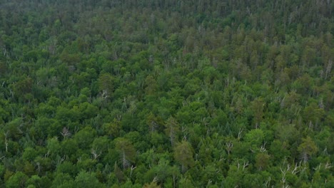 Dron-Panorámico-A-Través-Del-Valle-Montañoso-Del-Paisaje-De-New-Hampshire