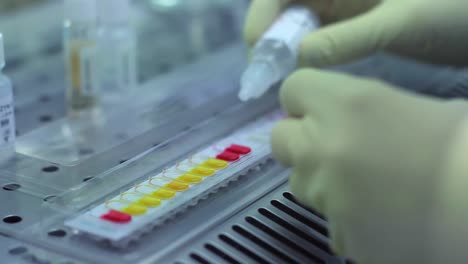 Chemist-scientist-pouring-liquid-into-test-samples.-Biological-research