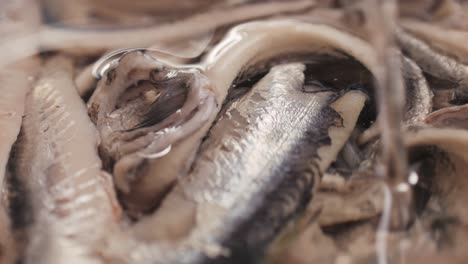 fresh sea sardines and anchovy fish and mullus on display on ice on market store shop. seafood fish background, close up stand of small salty white fish.