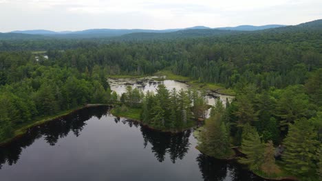 drone shot of a lake, trees, and swamp with rolling foothills of the mountains on an overcast day