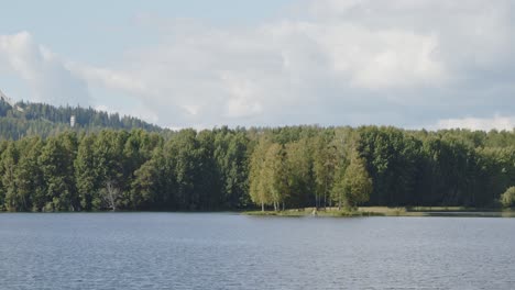 forest next to lake and island landscape in jyväskylä, finland