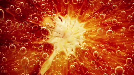 abstract background. a citrus close up with bubbles