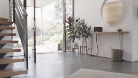 staircase and hallway with plants and mirror and glass doors to garden in modern home, slow motion