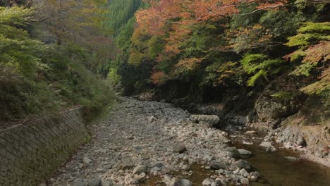 Drones-Aéreos-Vuelan-En-Cámara-Lenta-A-Través-Del-Valle-Del-Río-Zen-Japonés,-árboles-Verdes,-Vegetación-Exuberante-Y-Piedras-Grises-De-La-época-De-Los-Antiguos-Monjes,-Ambiente-De-Kyoto-En-Japón