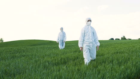 caucasian researchers in white protective suits and goggles walking in the green field while doing pest control