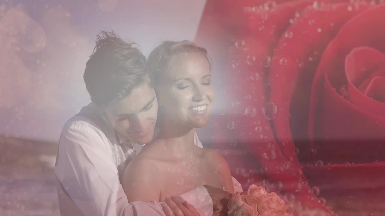 해변에서 결혼한 부부의 로즈 오버 애니메이션