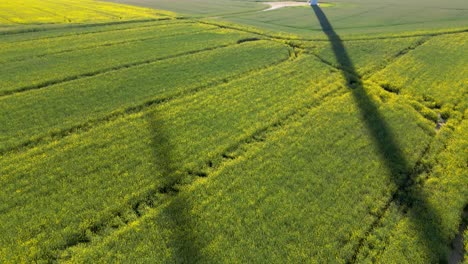 Turbina-Eólica-Parada-En-Un-Campo-De-Colza-Filmada-Bajo-El-Sol,-Fuentes-De-Energía-Renovables