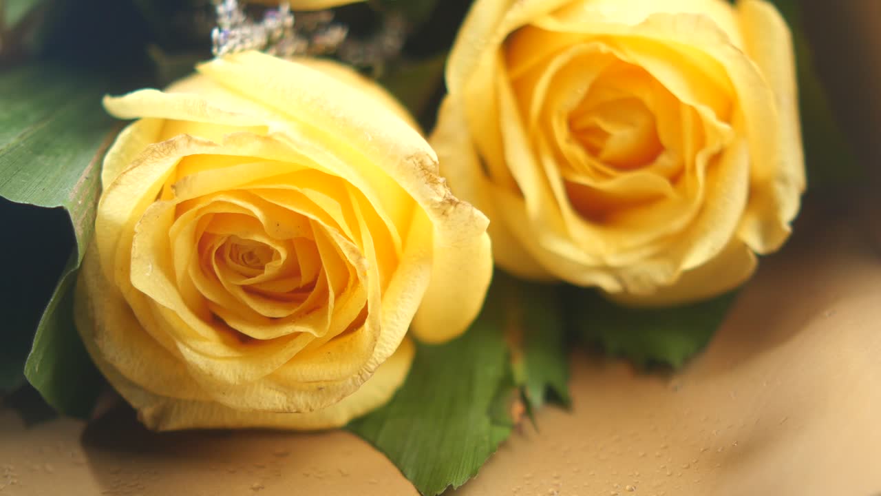 Yellow Roses Bouquet Close-up