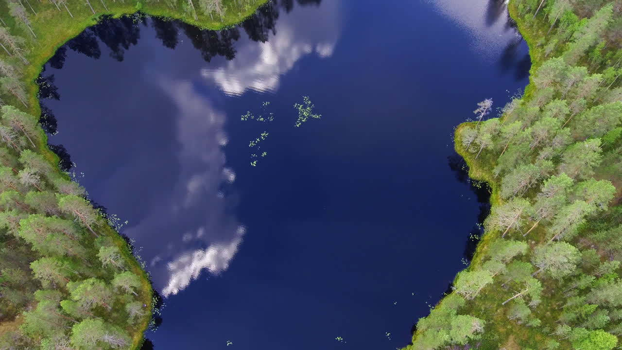 침엽수림으로 둘러싸인 숲 호수의 매우 아름다운 드론 영상