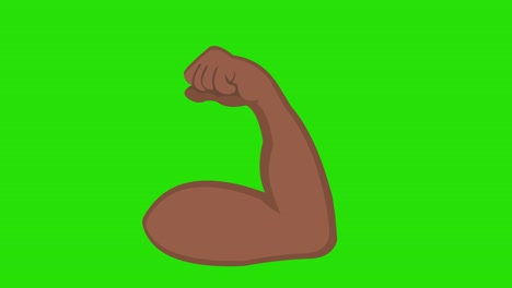 looped animation of brown arm contracting the bicep, on a green chroma background