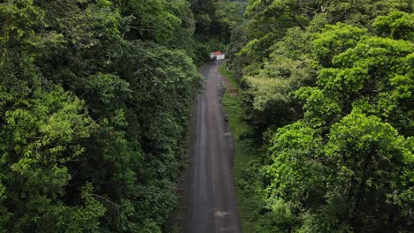 paved road leading through thick jungle of costa rica's north west. remote subtropical locations captured from above with 4k drone. white truck driving underneath while drone is slowly lowering