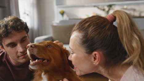 lovely family caressing doggy at home weekend close up. woman stroking dog