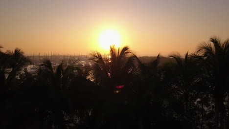 Aerial-fly-along-tops-of-palm-trees-to-reveal-boat-filled-harbor-and-sunrise