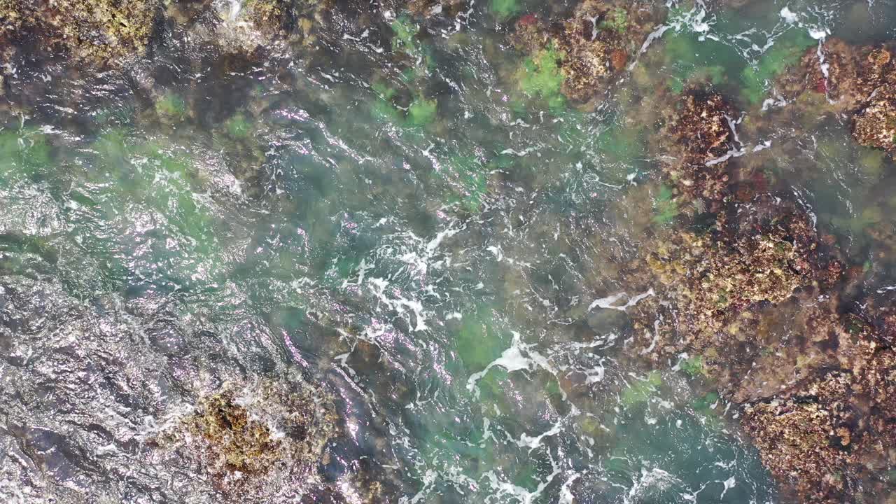 Clear Shallow Water Over Rocks and Seaweed