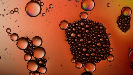 abstract colorful bubbles