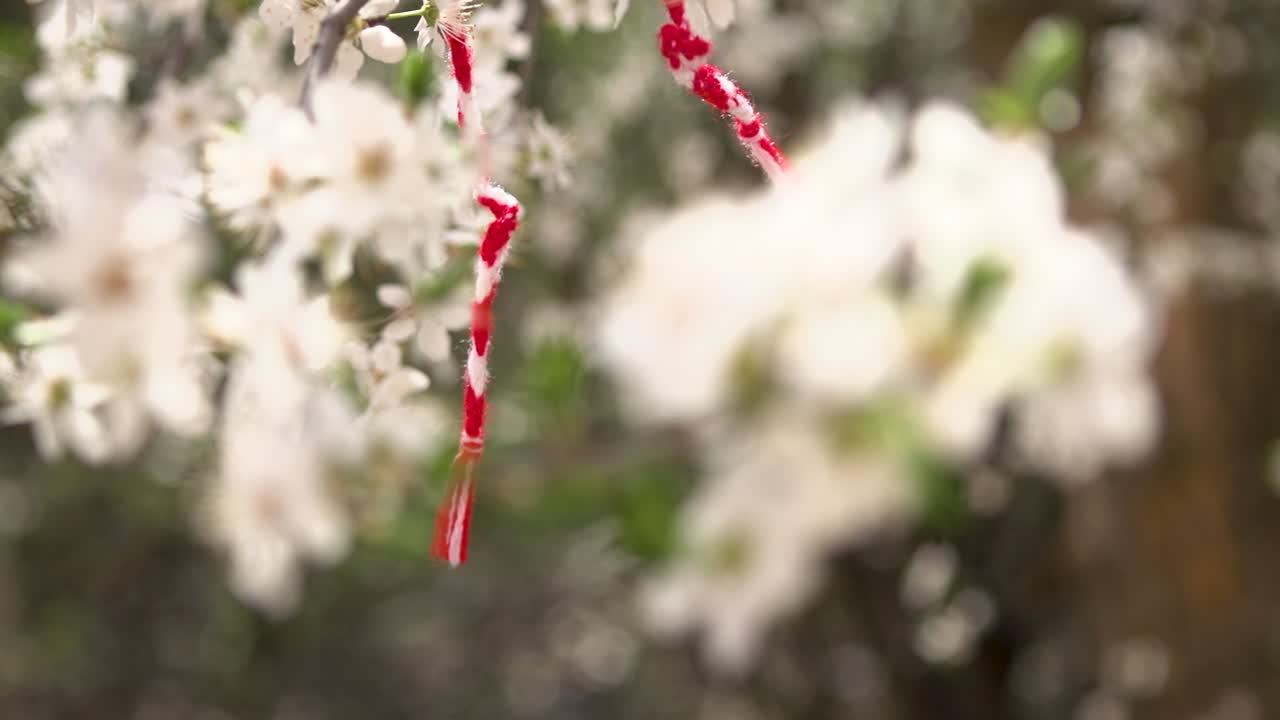 Un ramo con fiori bianchi in primavera a Sofia, Bulgaria, con una Martenitsa rossa e bianca. Le Martenitse si indossano dal giorno di Baba Marta, 1 marzo, fino a quando chi la indossa vede per la prima volta una cicogna, una rondine o un fiore.