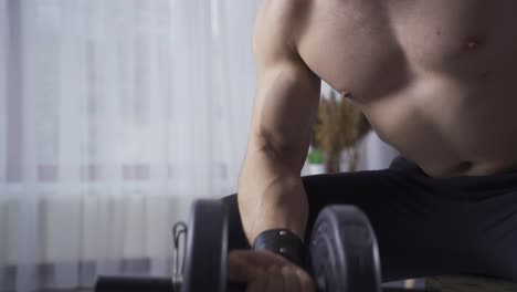 Young-bodybuilder-man-working-out-with-the-help-of-dumbbells-to-enlarge-his-arm-muscles.