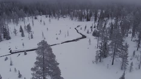 antena de un bosque congelado con árboles cubiertos de nieve y un río congelado en idre, suecia durante un día nublado con niebla-1