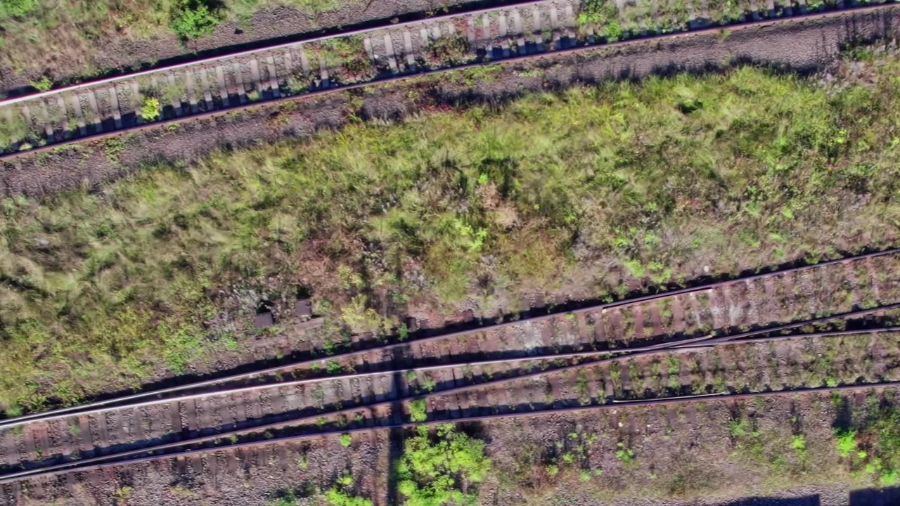Train tracks with grass and plants growing along the rails in sunlight