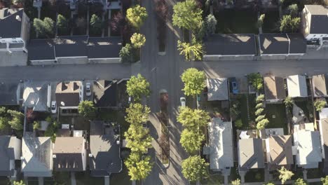 birds-eye-view-fly-over-rise-Inverness-suburb-replica-theres-an-island-in-the-center-of-the-residential-road-with-lush-high-trees-during-a-summer-sunrise-at-the-Southeast-side-of-Calgary-Alberta-4-5