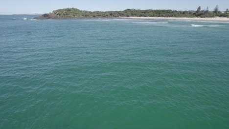 Vista-Aérea-Del-Promontorio-Fingal-Y-Una-Manada-De-Delfines-Nariz-De-Botella-Nadando-En-El-Mar-De-Tasmania---Disparo-De-Drones