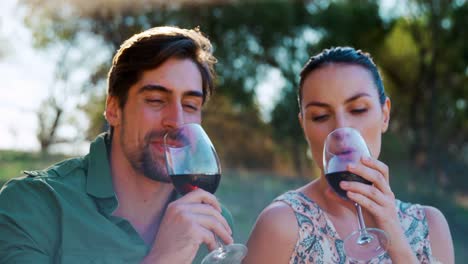 Couple-toasting-glass-of-wine-on-a-sunny-day-4k