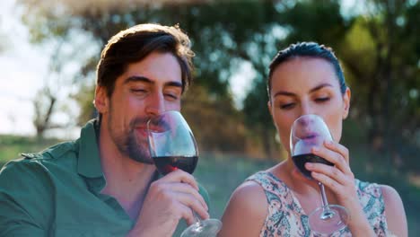 pareja brindando una copa de vino en un día soleado 4k