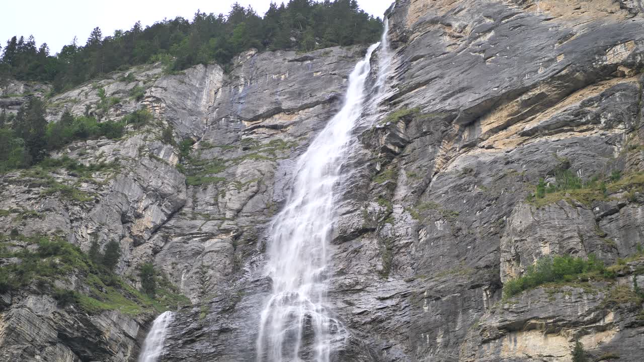 Giant waterfall with pine trees on the top over the rocks falling down on a bright day in Lauterbrunnen in Switzerland. Wide shot.