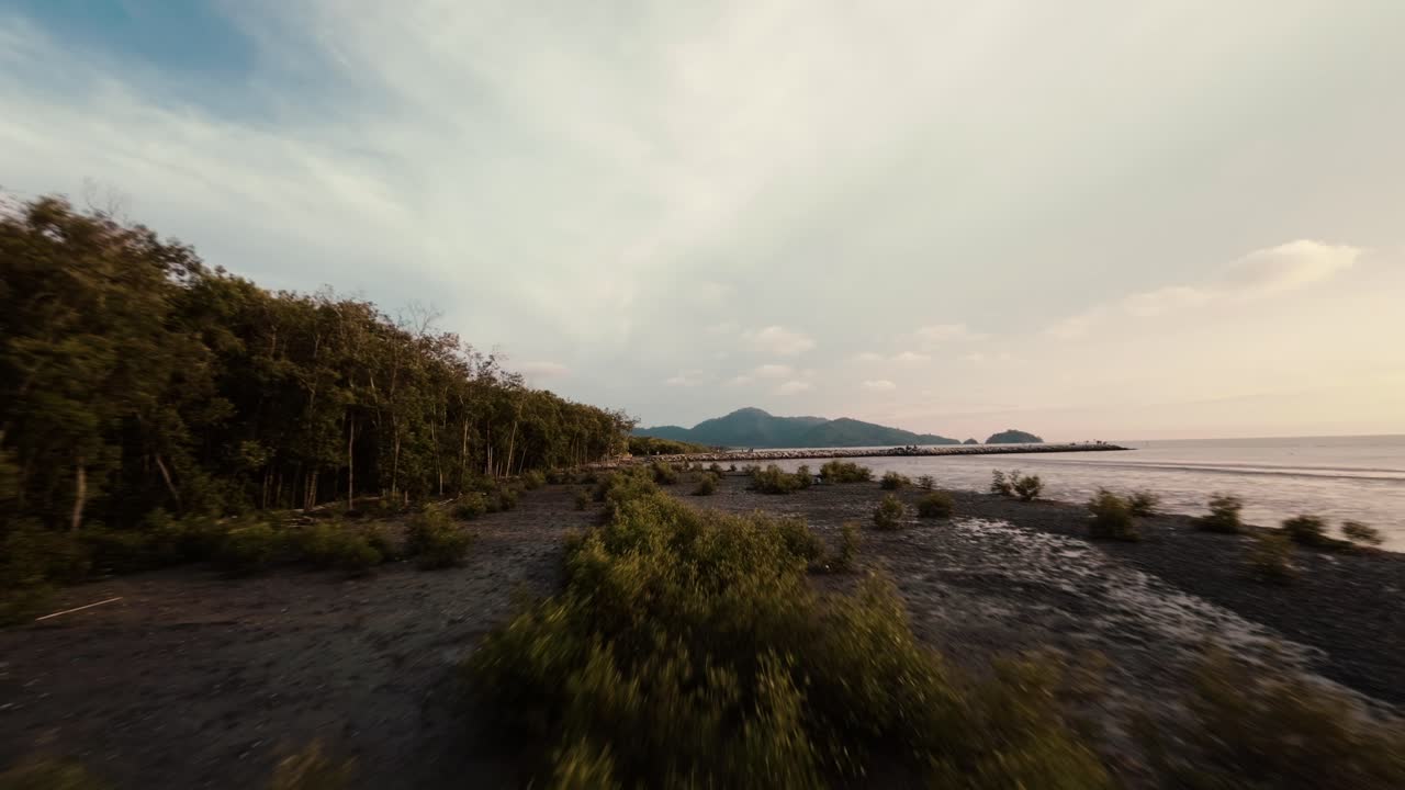 Experience a breathtaking FPV drone flight skimming along a lush coastal mangrove forest, revealing stunning seaside landscapes under the warm glow of the setting sun.