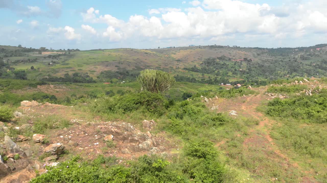 toma aérea sobre la ladera africana y un árbol de cactus mientras revela pueblos en la montaña