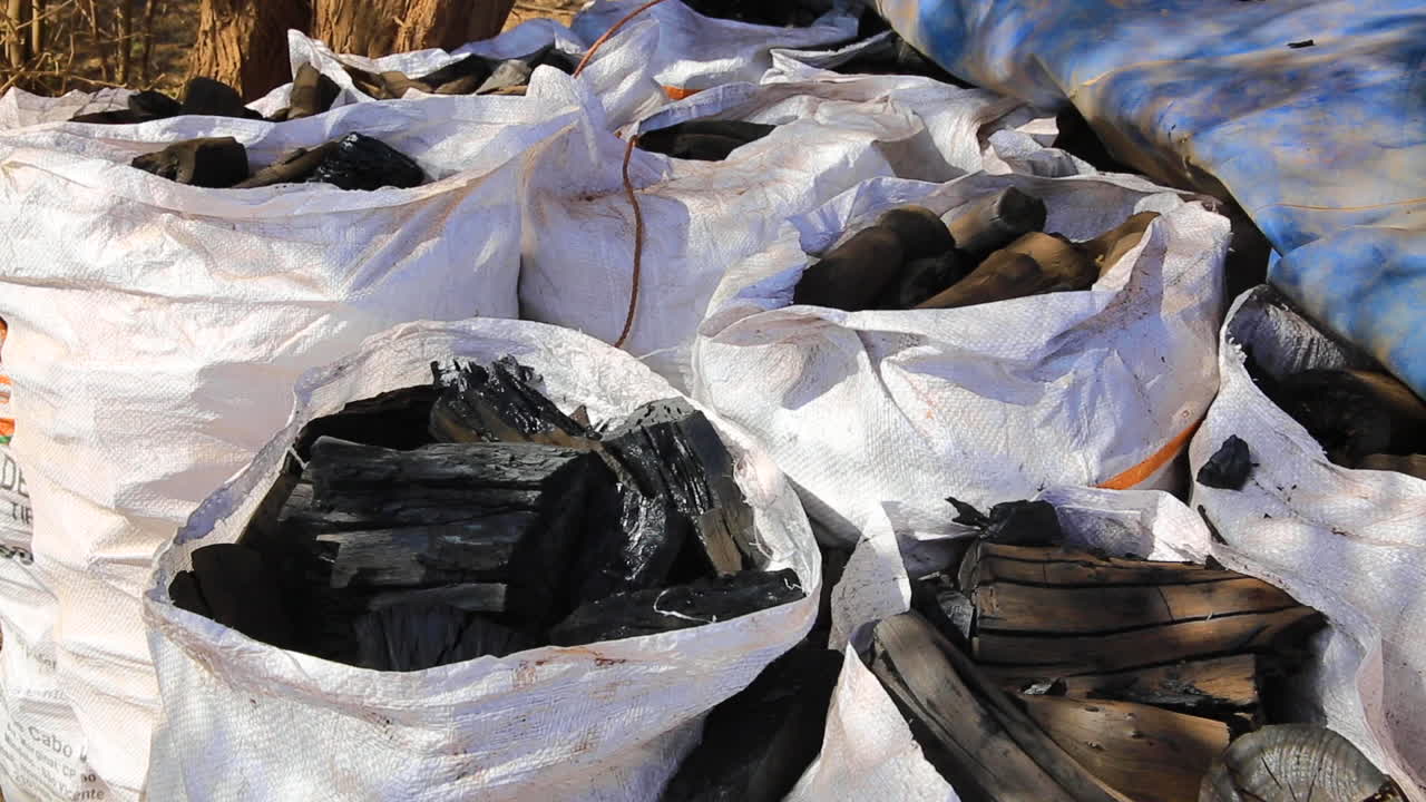 Close up of several bags of burnt wood to make charcoal.