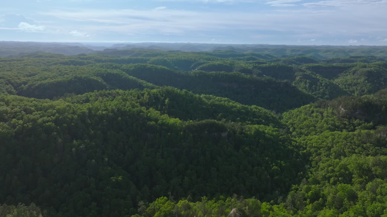 Lush greenery and rolling hills of Red River Gorge, KY in calm sunlight