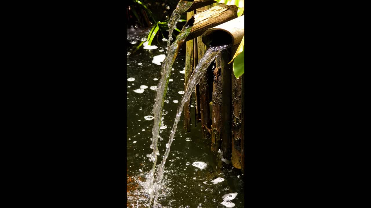 Bamboo Water Feature