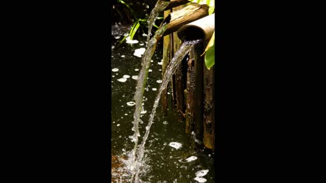 bamboo water feature