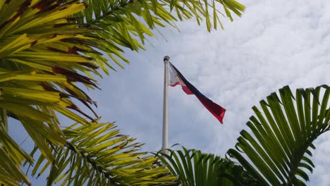 Cámara-Girada-Hacia-La-Derecha-Para-Revelar-Una-Hermosa-Bandera-Filipina-Vista-A-Través-De-Ramas-De-Palmeras